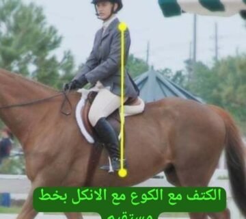 10 نصائح ذهبية لإتقان ركوب الخيل – دليل الفرسان المبتدئين