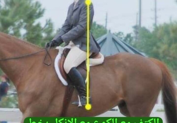 10 نصائح ذهبية لإتقان ركوب الخيل – دليل الفرسان المبتدئين